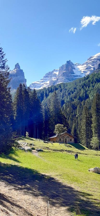 Chalet Brenta Dolomites Madonna エクステリア 写真