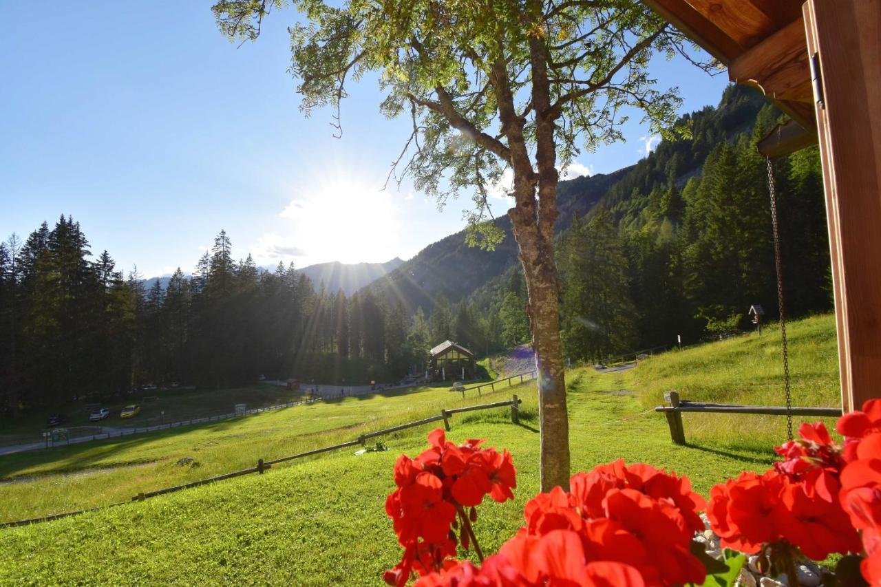 Chalet Brenta Dolomites Madonna エクステリア 写真