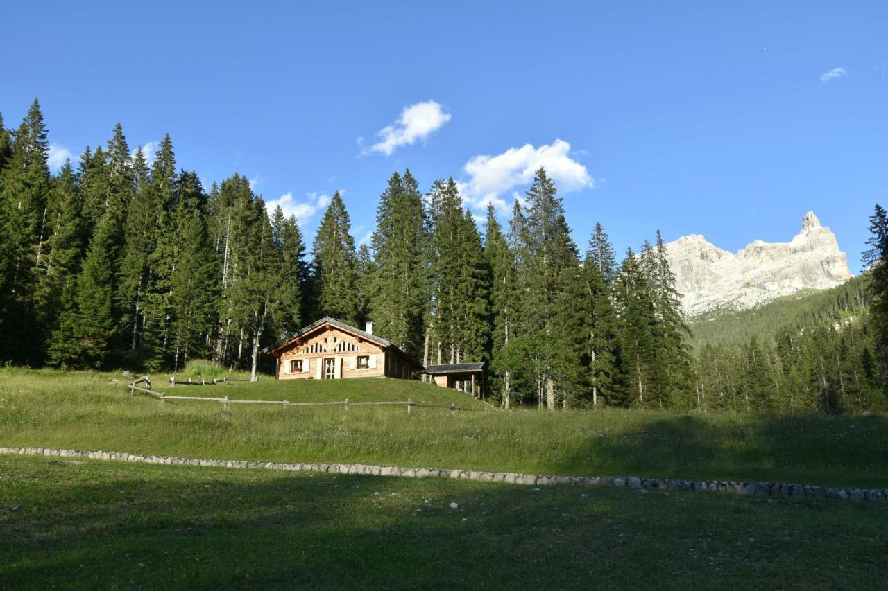 Chalet Brenta Dolomites Madonna エクステリア 写真