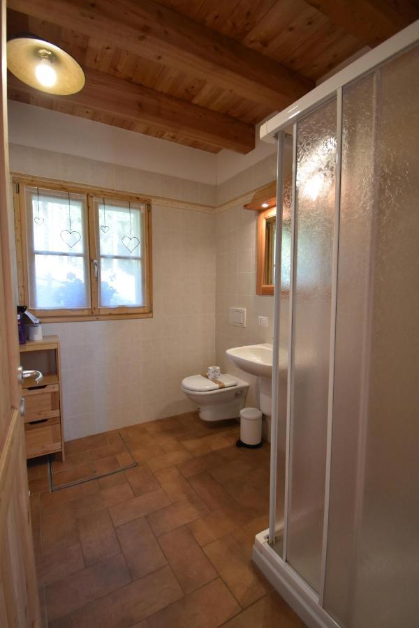 Chalet Brenta Dolomites Madonna エクステリア 写真