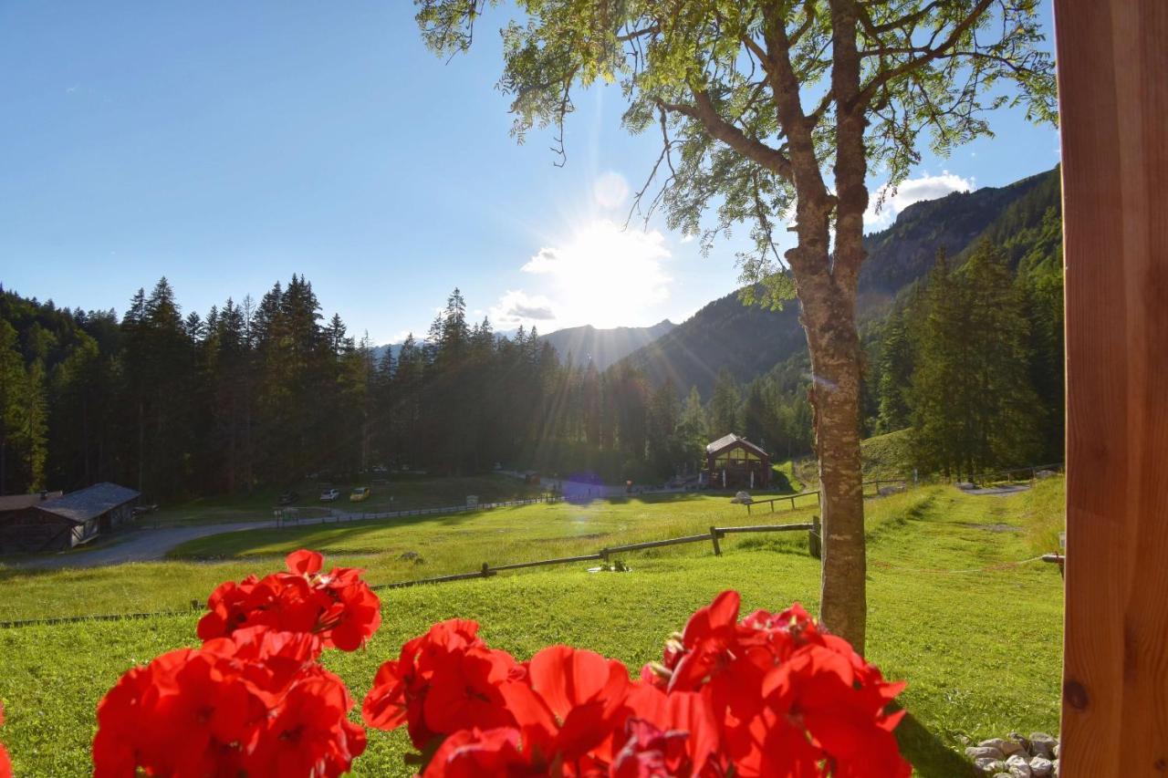 Chalet Brenta Dolomites Madonna エクステリア 写真