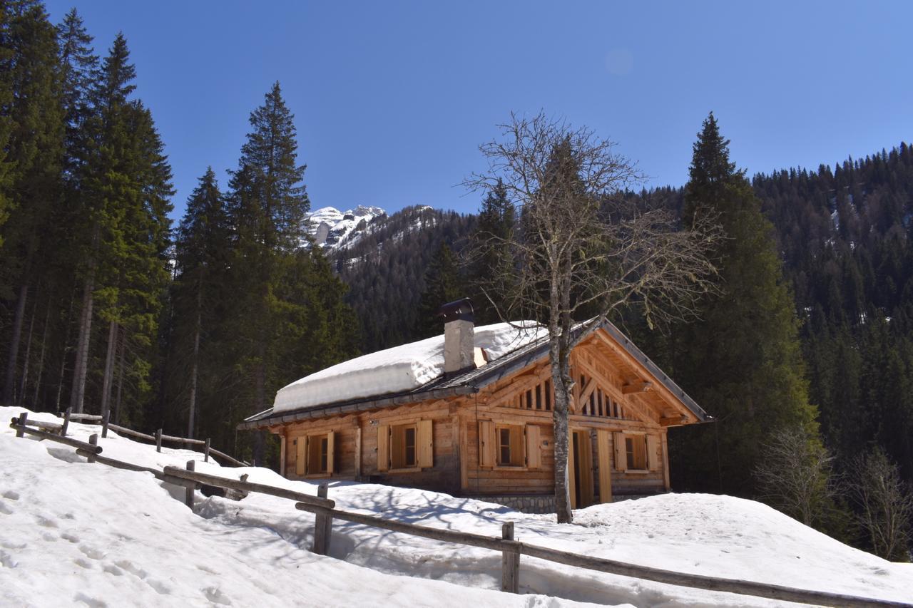 Madonna Chalet Brenta Dolomitesヴィラ エクステリア 写真