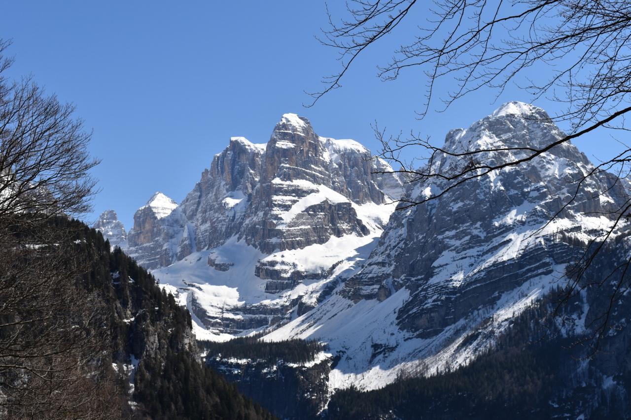 Madonna Chalet Brenta Dolomitesヴィラ エクステリア 写真