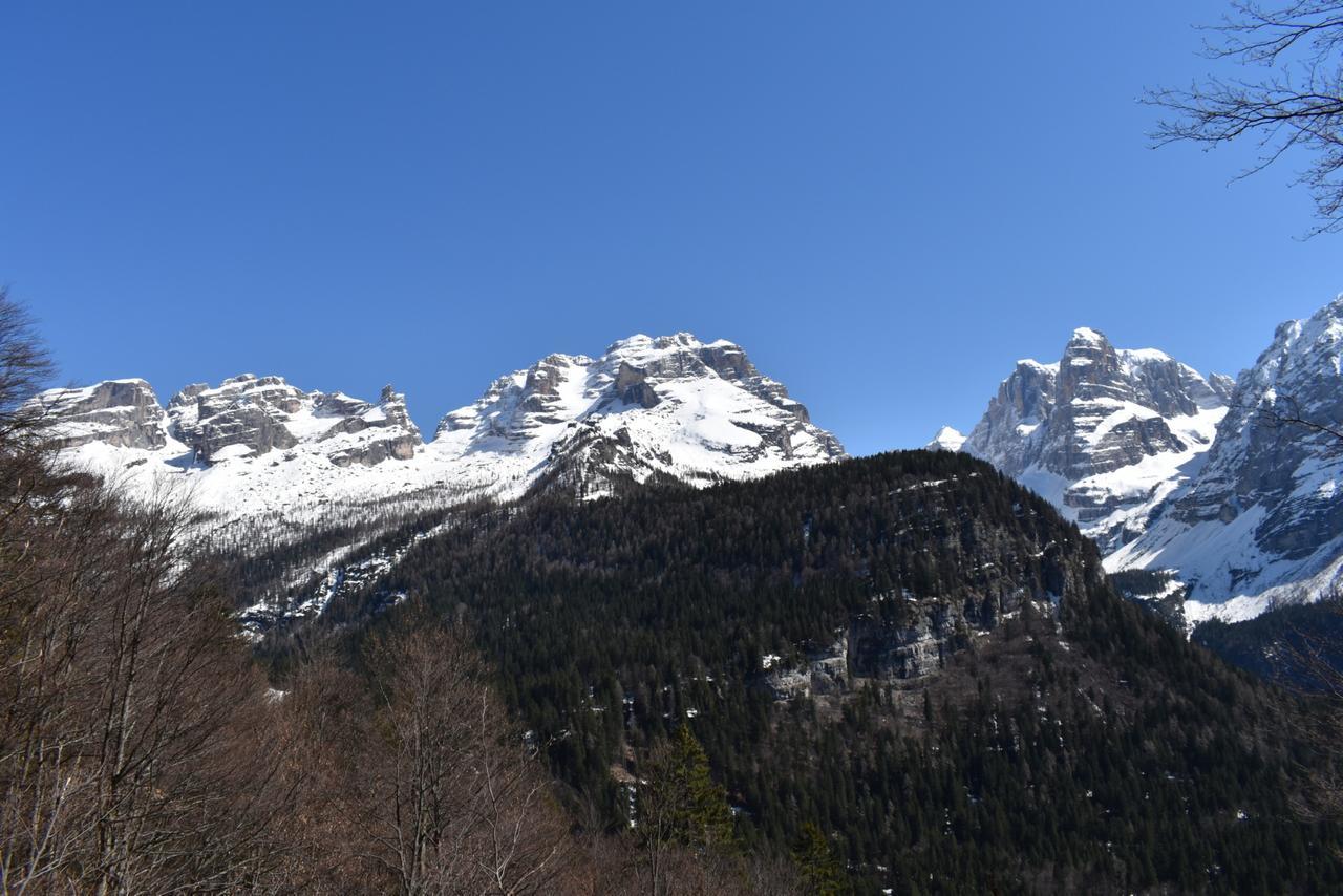 Chalet Brenta Dolomites Madonna エクステリア 写真