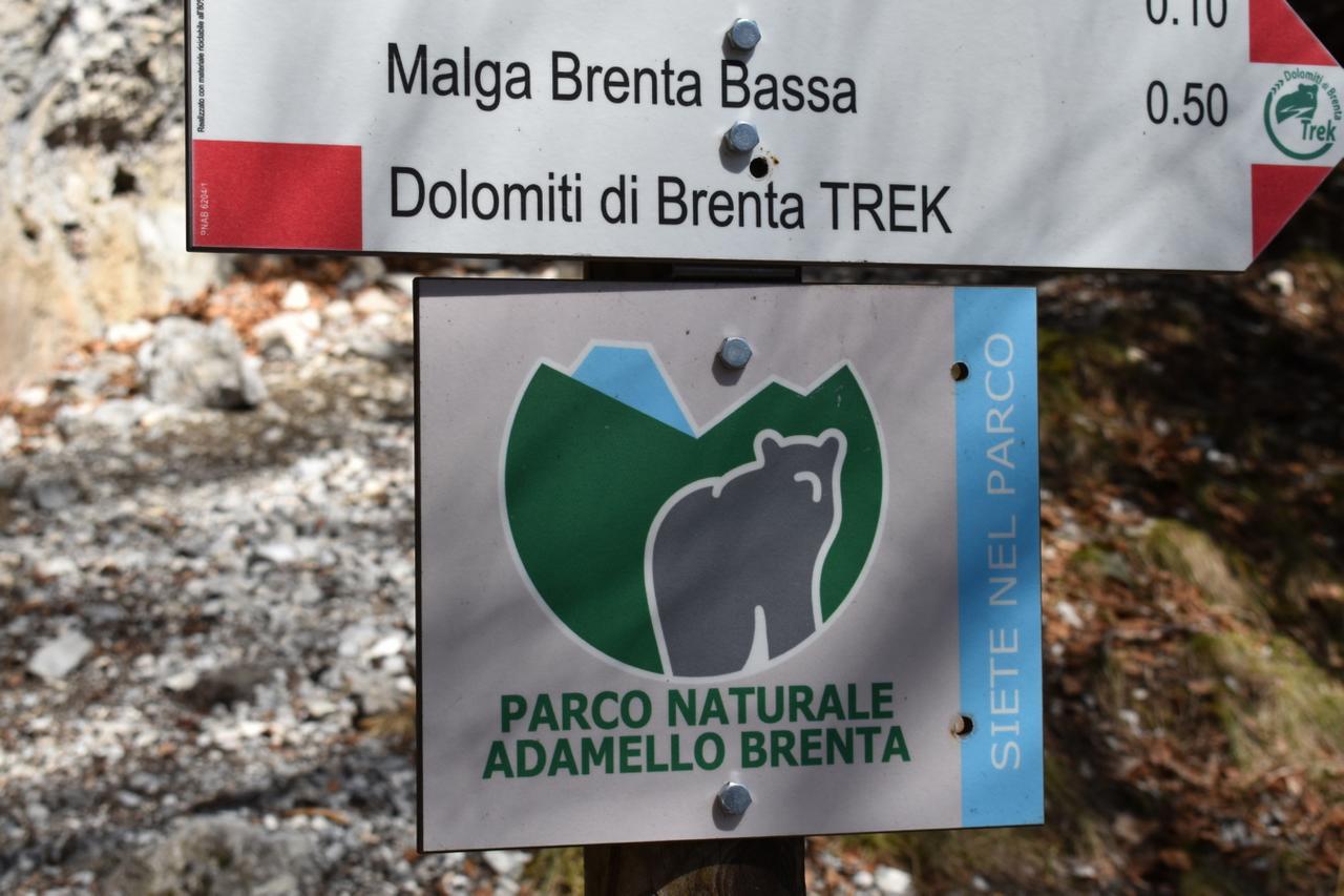 Chalet Brenta Dolomites Madonna エクステリア 写真