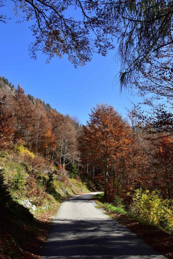 Chalet Brenta Dolomites Madonna エクステリア 写真
