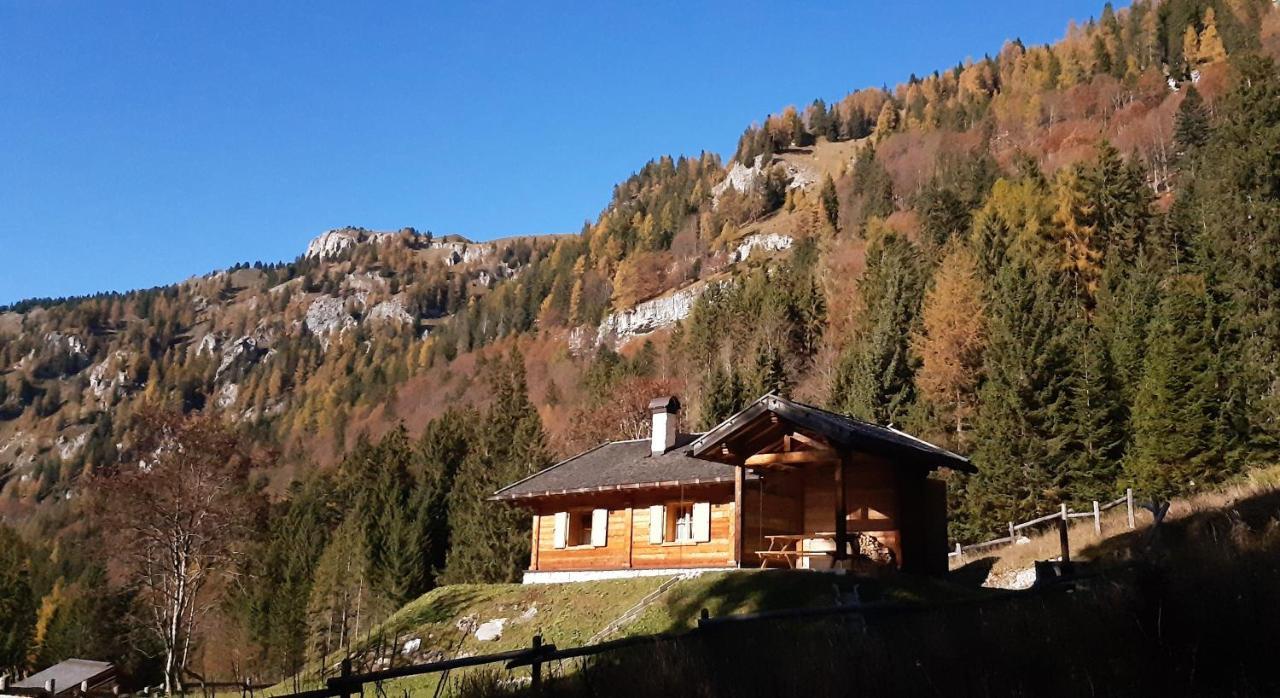 Chalet Brenta Dolomites Madonna エクステリア 写真