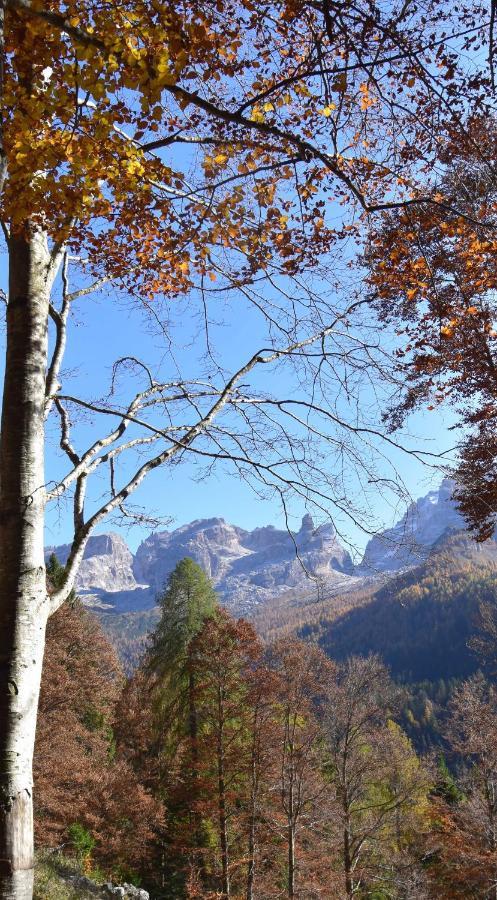 Chalet Brenta Dolomites Madonna エクステリア 写真